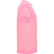 Beagle CA6554 adulto Rosa seda - vista 4