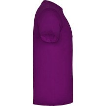 Beagle CA6554 adulto Purpura - vista 4
