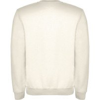 Sudadera Roly Clásica SU1070 Adulto DTF | Sublimartia