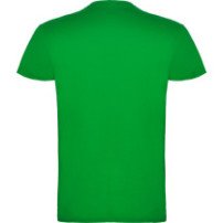 Beagle CA6554 adulto Verde grass - vista 2