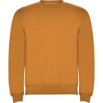 Sudadera Roly Clásica SU1070 Adulto DTF | Sublimartia