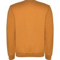 Sudadera Roly Clásica SU1070 Adulto DTF | Sublimartia