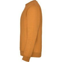 Sudadera Roly Clásica SU1070 Adulto DTF | Sublimartia