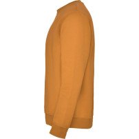 Sudadera Roly Clásica SU1070 Adulto DTF | Sublimartia