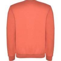Sudadera Roly Clásica SU1070 Adulto DTF | Sublimartia