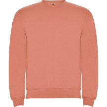 Sudadera Roly Clásica SU1070 Adulto DTF | Sublimartia
