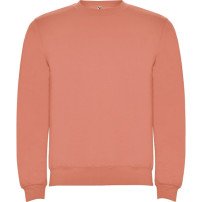 Sudadera Roly Clásica SU1070 Adulto DTF | Sublimartia