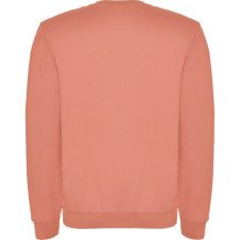 Sudadera Roly Clásica SU1070 Adulto DTF | Sublimartia