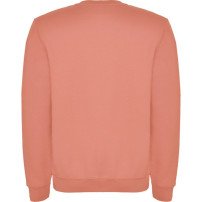 Sudadera Roly Clásica SU1070 Adulto DTF | Sublimartia