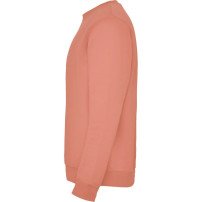 Sudadera Roly Clásica SU1070 Adulto DTF | Sublimartia