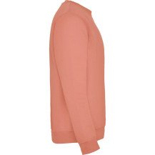 Sudadera Roly Clásica SU1070 Adulto DTF | Sublimartia