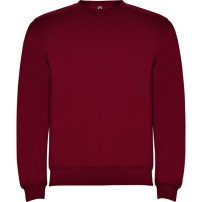 Sudadera Roly Clásica SU1070 Adulto DTF | Sublimartia