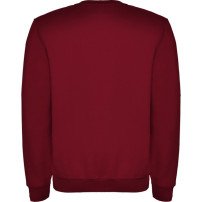 Sudadera Roly Clásica SU1070 Adulto DTF | Sublimartia