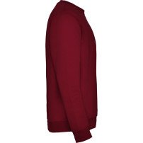 Sudadera Roly Clásica SU1070 Adulto DTF | Sublimartia