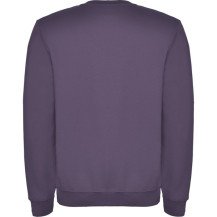 Sudadera Roly Clásica SU1070 Adulto DTF | Sublimartia