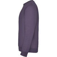 Sudadera Roly Clásica SU1070 Adulto DTF | Sublimartia
