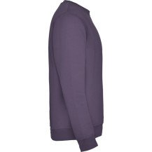 Sudadera Roly Clásica SU1070 Adulto DTF | Sublimartia