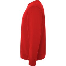 Sudadera Roly Batian SU1071 Unisex | Sublimartia