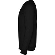 Sudadera Roly Annapurna SU1104 Adulto | Sublimartia