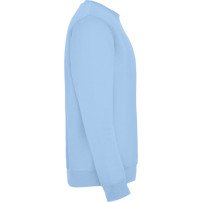 Sudadera Roly Clásica SU1070 Adulto DTF | Sublimartia
