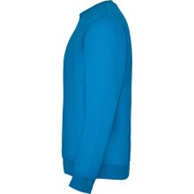 Sudadera Roly Clásica SU1070 Adulto DTF | Sublimartia