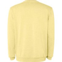 Sudadera Roly Jaya SU2203 Adulto | Sublimartia
