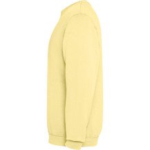 Sudadera Roly Jaya SU2203 Adulto | Sublimartia