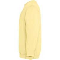 Sudadera Roly Jaya SU2203 Adulto | Sublimartia