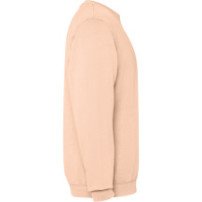 Sudadera Roly Jaya SU2203 Adulto | Sublimartia