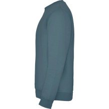 Sudadera Roly Clásica SU1070 Adulto DTF | Sublimartia
