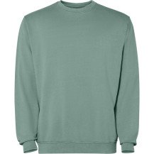 Sudadera Roly Jaya SU2203 Adulto | Sublimartia