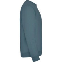 Sudadera Roly Clásica SU1070 Adulto DTF | Sublimartia