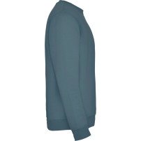 Sudadera Roly Clásica SU1070 Adulto DTF | Sublimartia