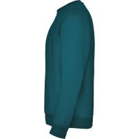 Sudadera Roly Clásica SU1070 Adulto DTF | Sublimartia