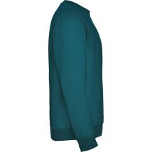 Sudadera Roly Clásica SU1070 Adulto DTF | Sublimartia