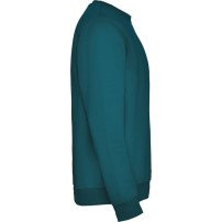 Sudadera Roly Clásica SU1070 Adulto DTF | Sublimartia