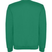 Sudadera Roly Clásica SU1070 Adulto DTF | Sublimartia