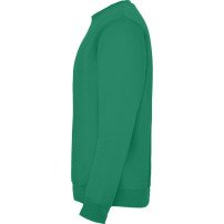 Sudadera Roly Clásica SU1070 Adulto DTF | Sublimartia