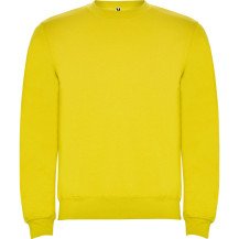 Sudadera Roly Clásica SU1070 Infantil DTF | Sublimartia