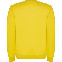 Sudadera Roly Clásica SU1070 Infantil DTF | Sublimartia