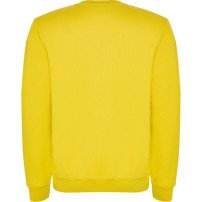 Sudadera Roly Clásica SU1070 Infantil DTF | Sublimartia