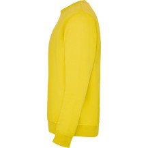 Sudadera Roly Clásica SU1070 Infantil DTF | Sublimartia
