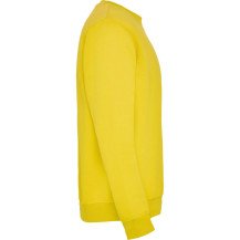 Sudadera Roly Clásica SU1070 Infantil DTF | Sublimartia