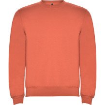 Sudadera Roly Clásica SU1070 Infantil DTF | Sublimartia