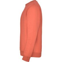 Sudadera Roly Clásica SU1070 Infantil DTF | Sublimartia