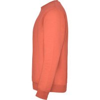 Sudadera Roly Clásica SU1070 Infantil DTF | Sublimartia