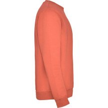 Sudadera Roly Clásica SU1070 Infantil DTF | Sublimartia