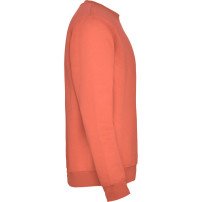 Sudadera Roly Clásica SU1070 Infantil DTF | Sublimartia