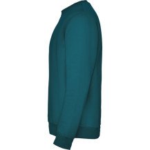 Sudadera Roly Clásica SU1070 Infantil DTF | Sublimartia