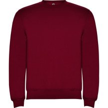 Sudadera Roly Clásica SU1070 Infantil DTF | Sublimartia